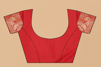 Catalog Designer Saree