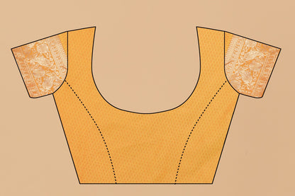 Catalog Designer Saree