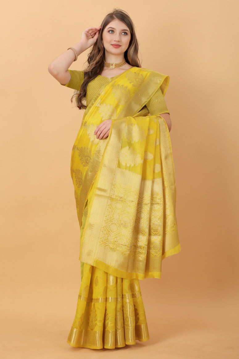 Catalog Designer Saree