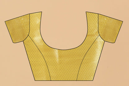 Catalog Designer Saree