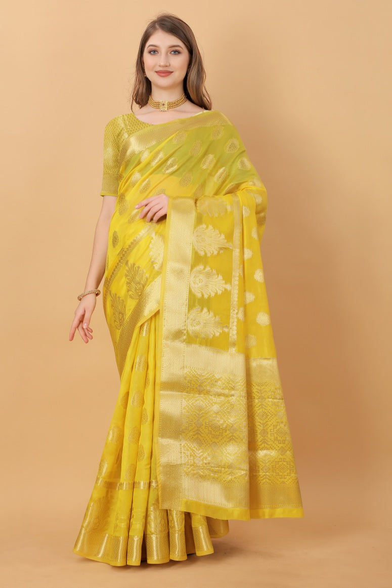 Catalog Designer Saree