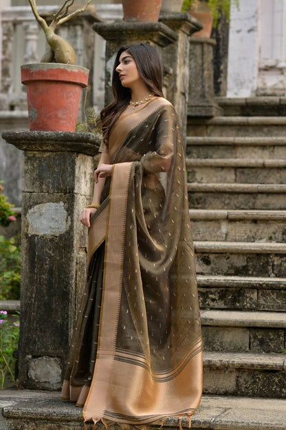 Catalog Designer Saree