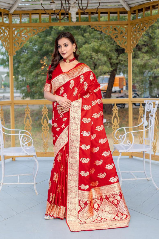 Catalog Designer Saree