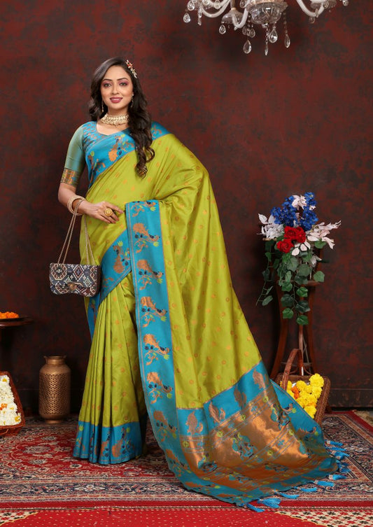 Catalog Designer Saree