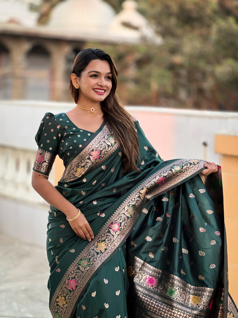 Catalog Designer Saree
