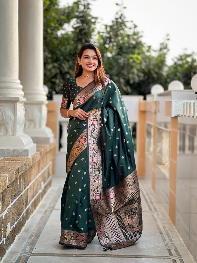 Catalog Designer Saree