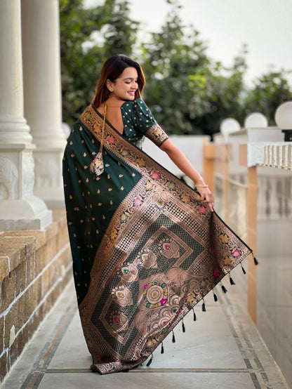 Catalog Designer Saree