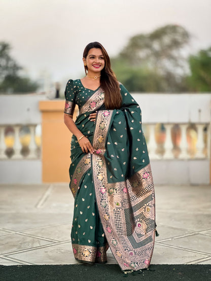 Catalog Designer Saree