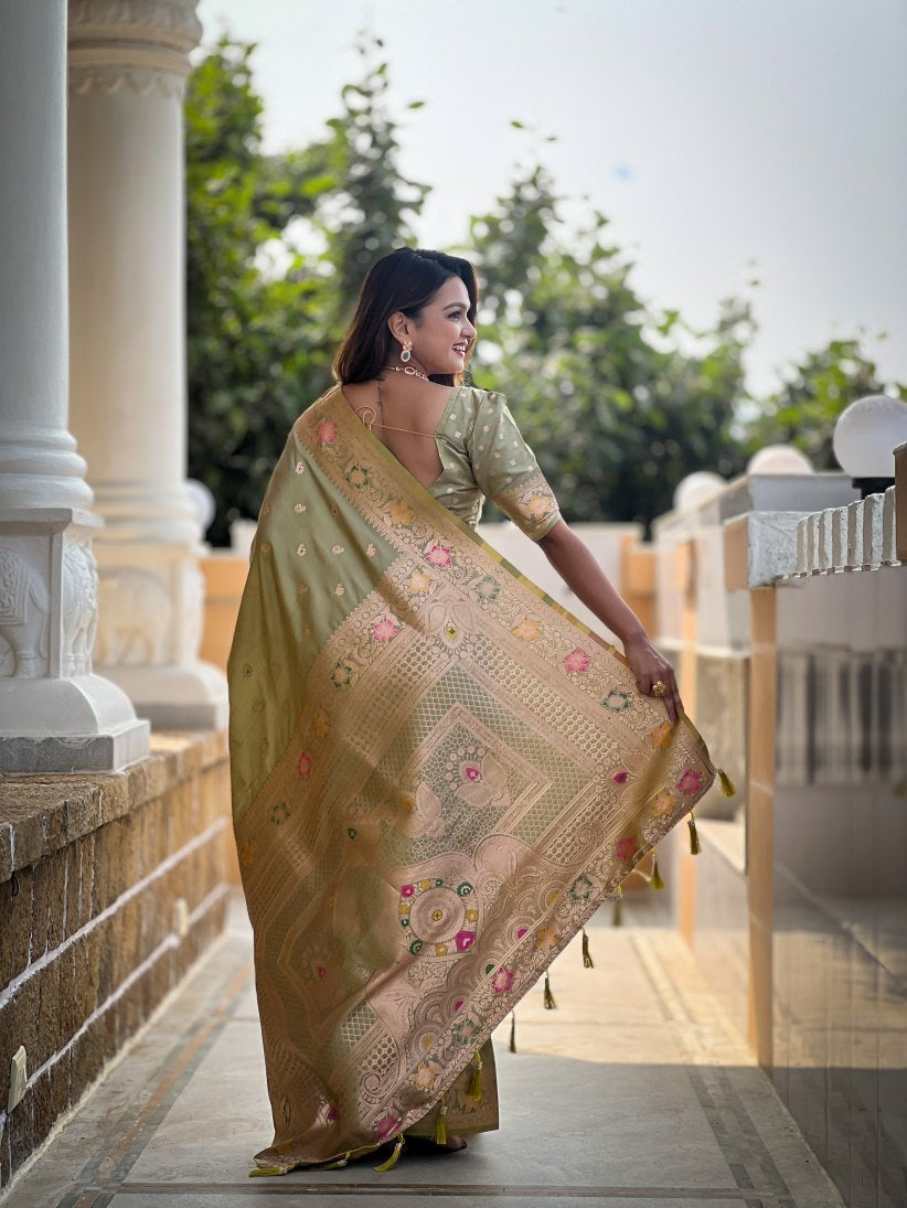 Catalog Designer Saree