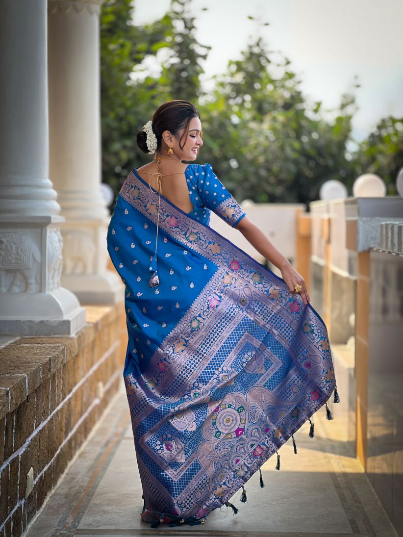 Catalog Designer Saree