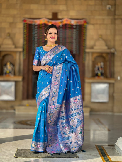 Catalog Designer Saree