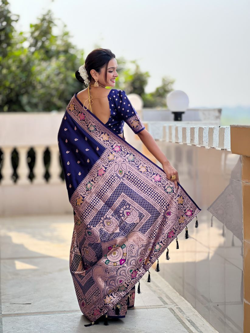 Catalog Designer Saree