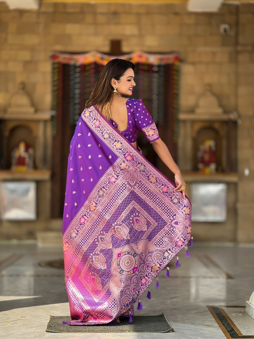 Catalog Designer Saree
