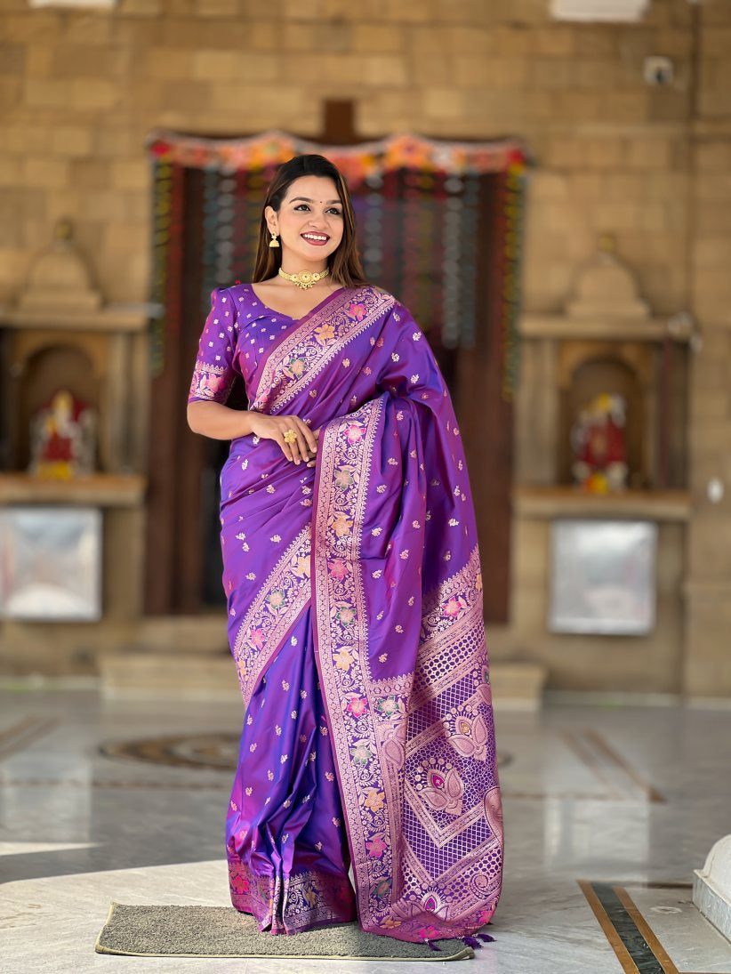 Catalog Designer Saree