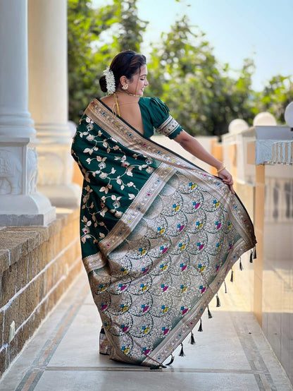 Catalog Designer Saree