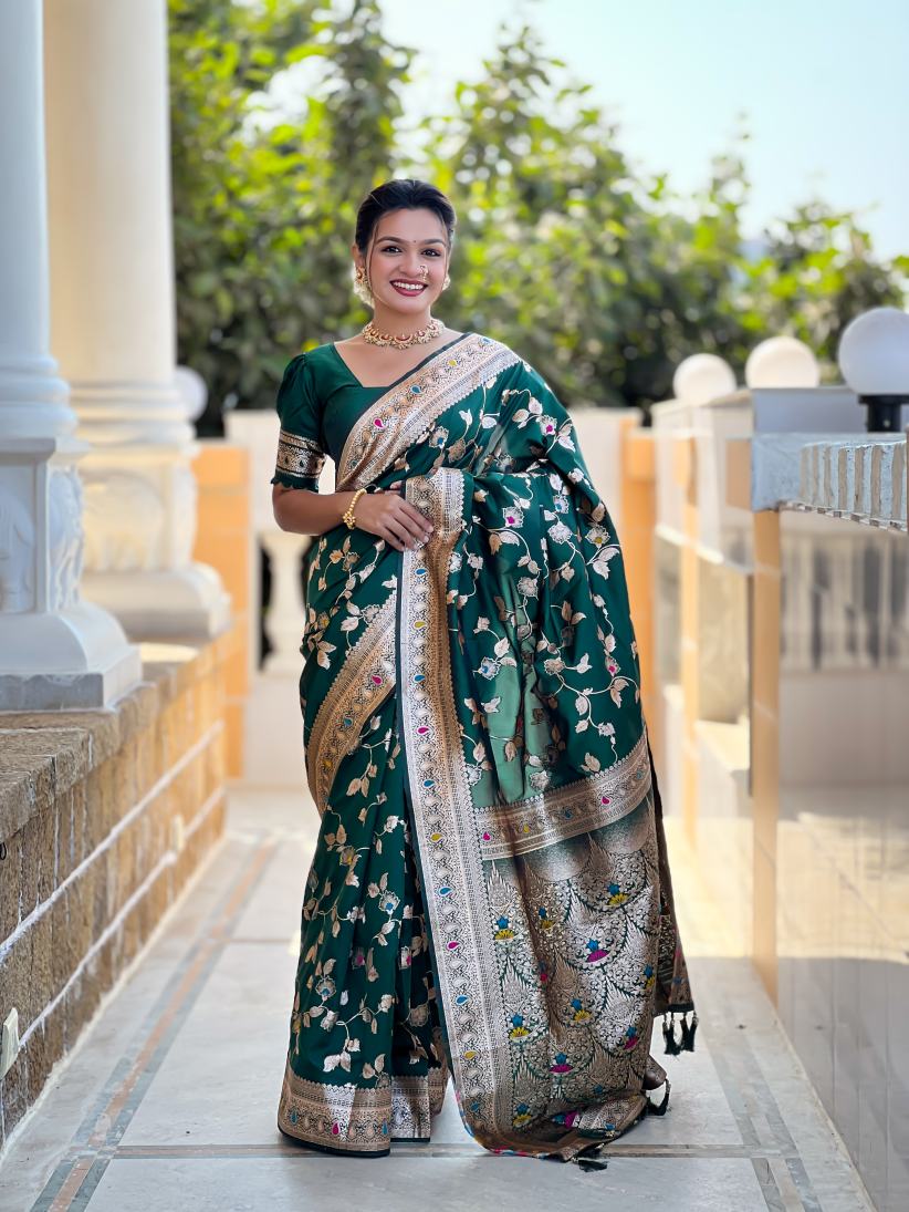 Catalog Designer Saree