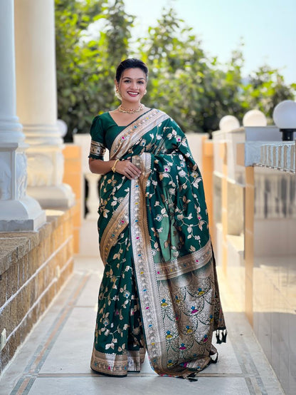 Catalog Designer Saree