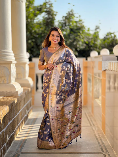 Catalog Designer Saree