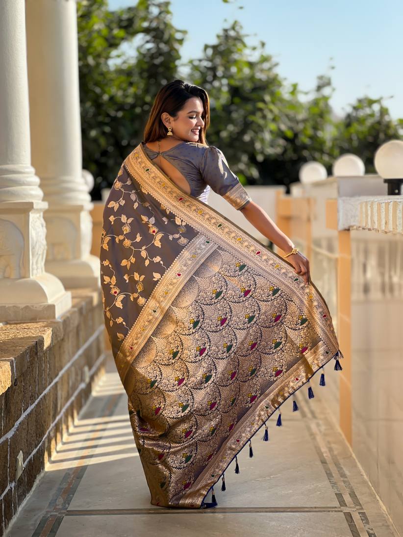 Catalog Designer Saree