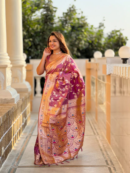Catalog Designer Saree
