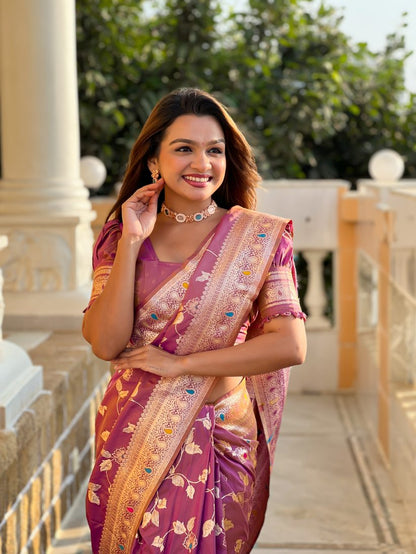 Catalog Designer Saree