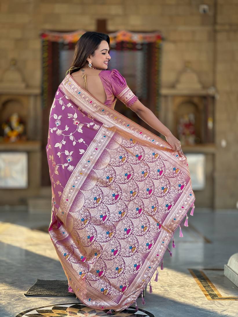 Catalog Designer Saree