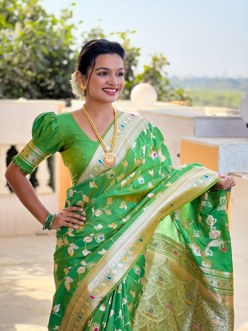 Catalog Designer Saree