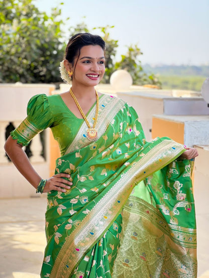 Catalog Designer Saree