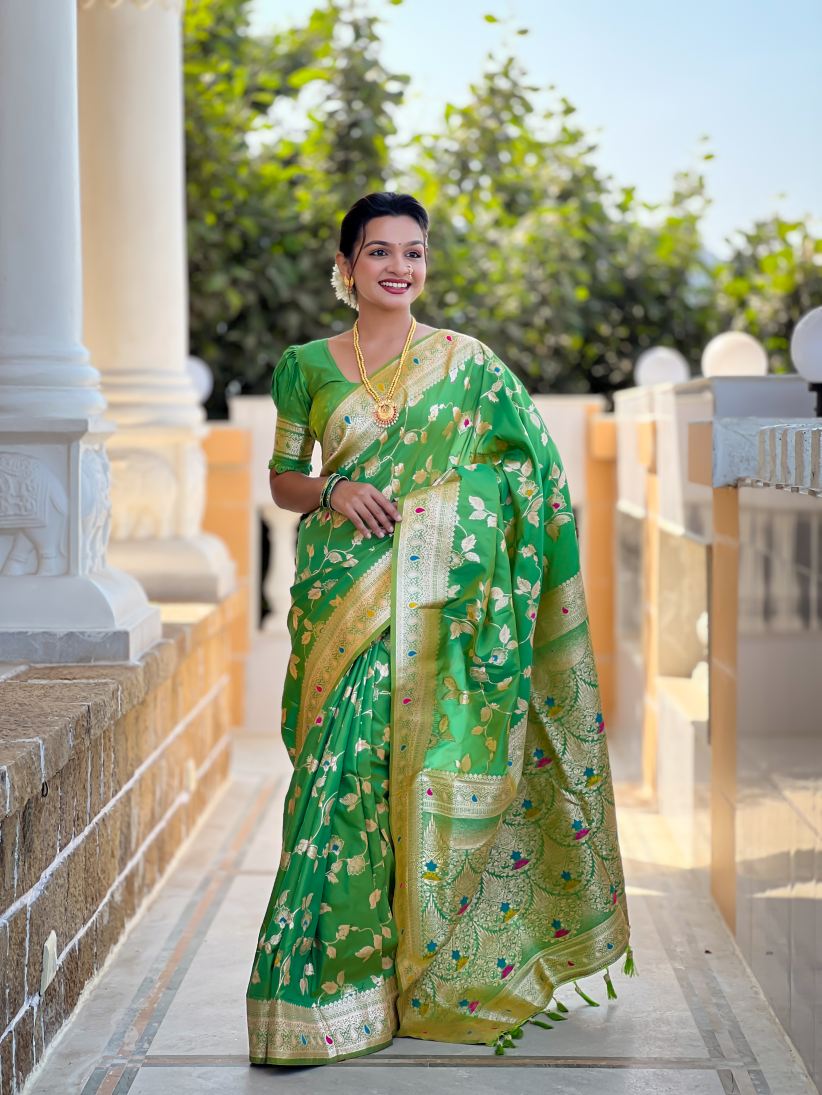 Catalog Designer Saree