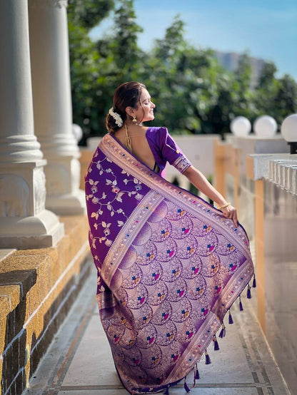 Catalog Designer Saree