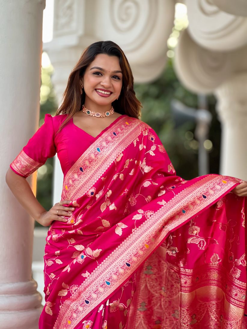 Catalog Designer Saree