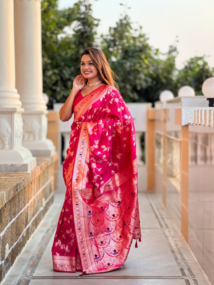 Catalog Designer Saree