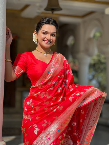 Catalog Designer Saree