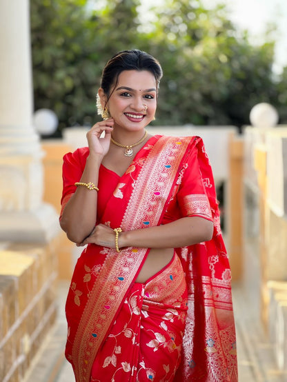 Catalog Designer Saree