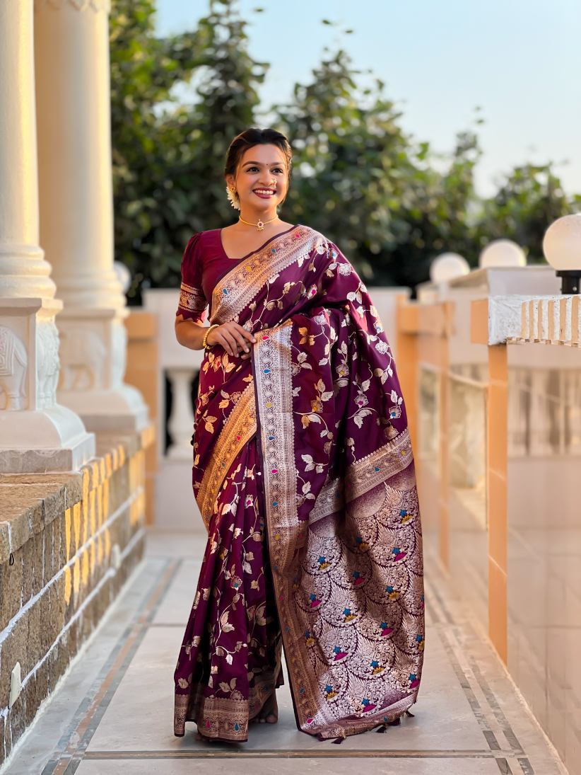 Catalog Designer Saree
