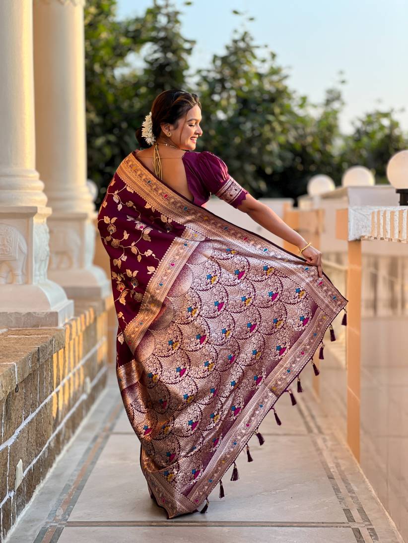 Catalog Designer Saree