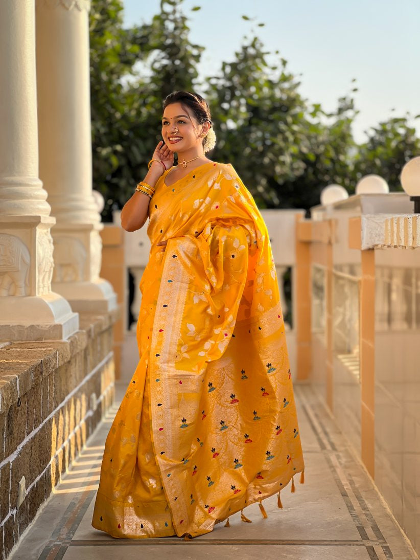 Catalog Designer Saree