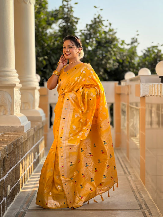 Catalog Designer Saree