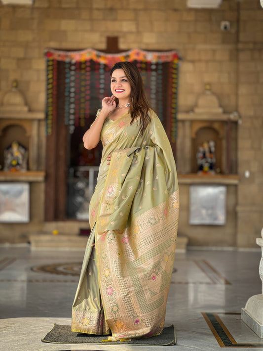 Catalog Designer Saree