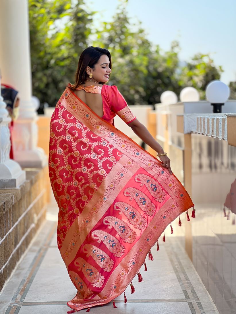 Catalog Designer Saree