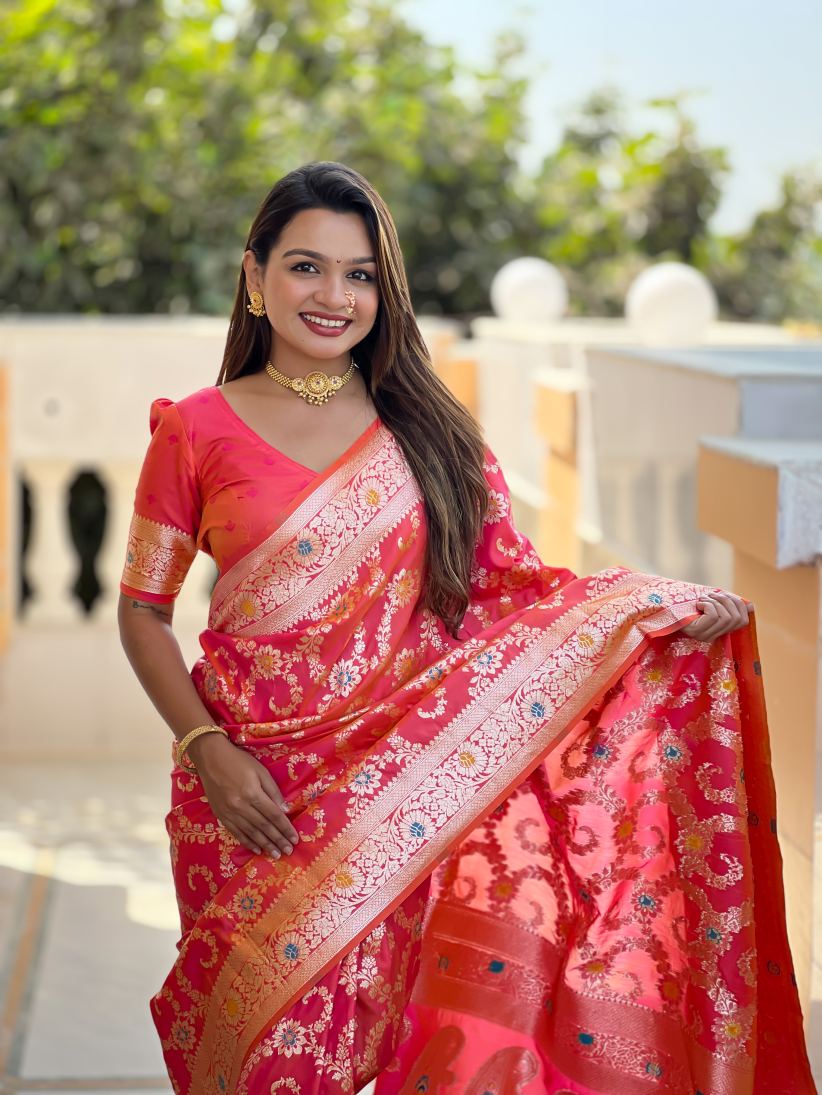 Catalog Designer Saree