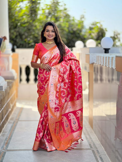 Catalog Designer Saree