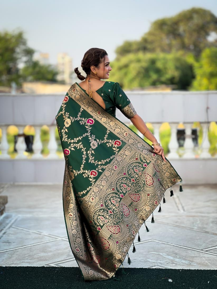 Catalog Designer Saree