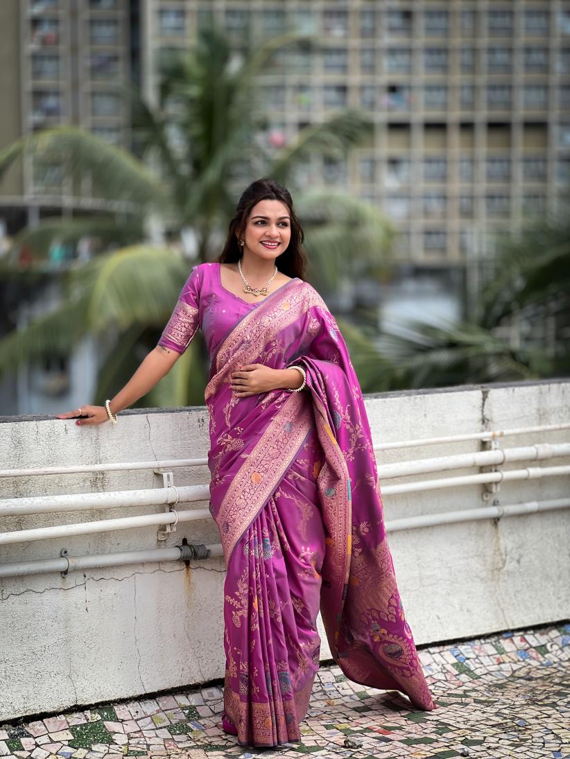 Catalog Designer Saree