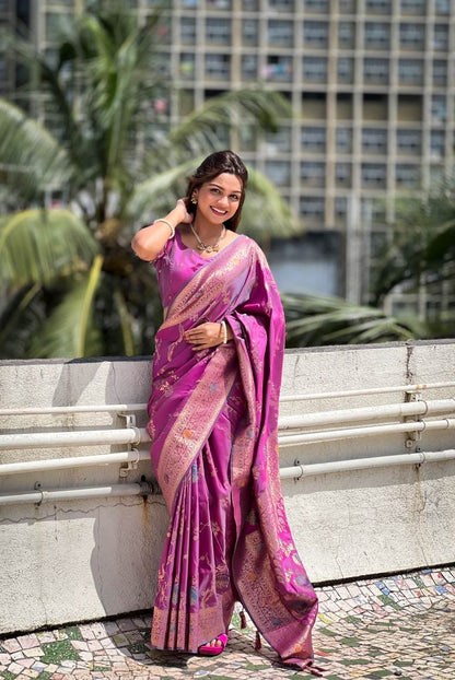 Catalog Designer Saree