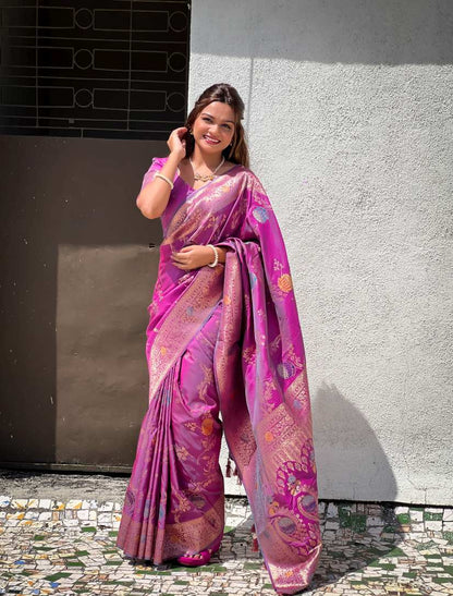 Catalog Designer Saree