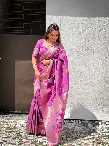 Catalog Designer Saree