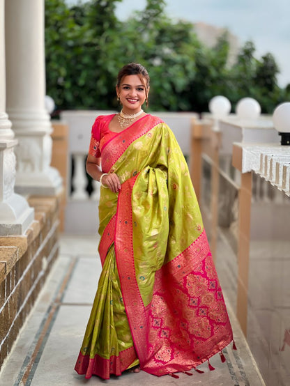 Catalog Designer Saree
