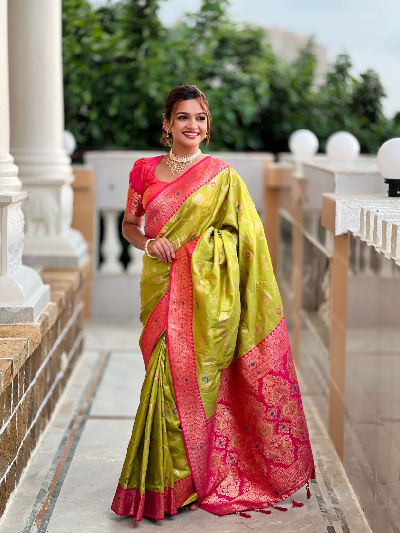 Catalog Designer Saree