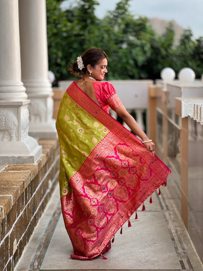 Catalog Designer Saree